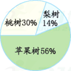 图片_x0020_45