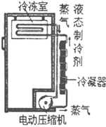 图片_x0020_100005