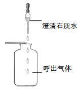 图片_x0020_47696775