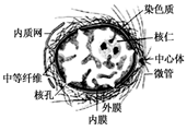 图片_x0020_1370262786