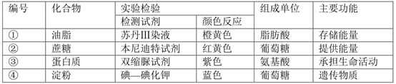 图片_x0020_100006