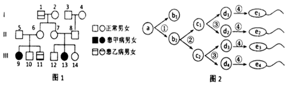 图片_x0020_100047
