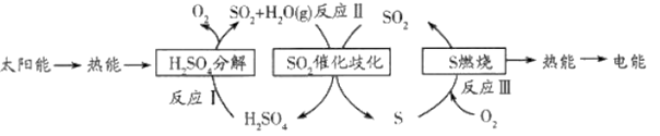 图片_x0020_1724794253