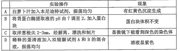 图片_x0020_100005