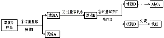 图片_x0020_1010070273