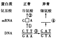 图片_x0020_745039605