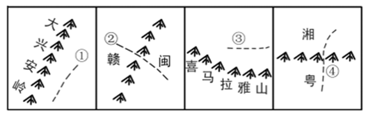 图片_x0020_100008