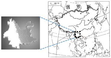 图片_x0020_100006
