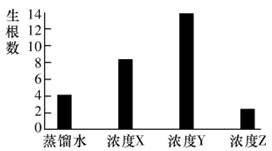 图片_x0020_100001