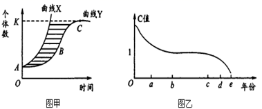 图片_x0020_100018