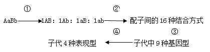 图片_x0020_1706231519