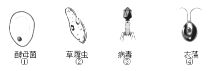 图片_x0020_9