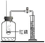 图片_x0020_100006