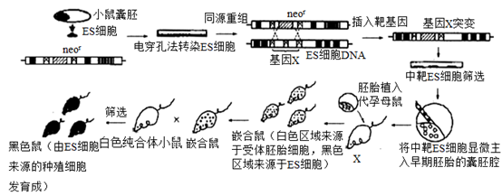 图片_x0020_982635742