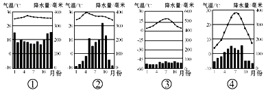 图片_x0020_1666071804