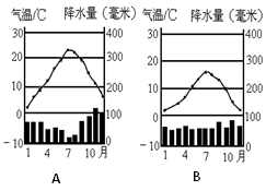图片_x0020_100010