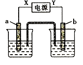 图片_x0020_891210369