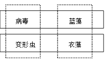 图片_x0020_986370621
