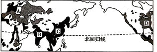 图片_x0020_1313798204