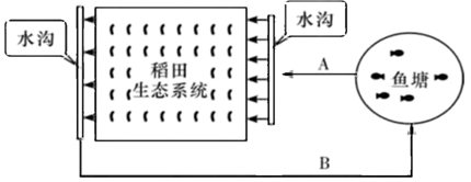 图片_x0020_100016