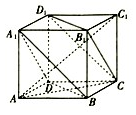 图片_x0020_100001