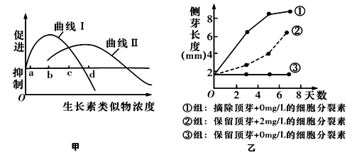 图片_x0020_1998084564