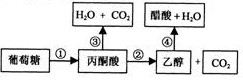 图片_x0020_1313776873