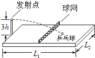 图片_x0020_100001