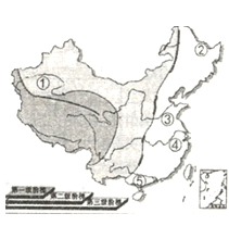 图片_x0020_1105026605