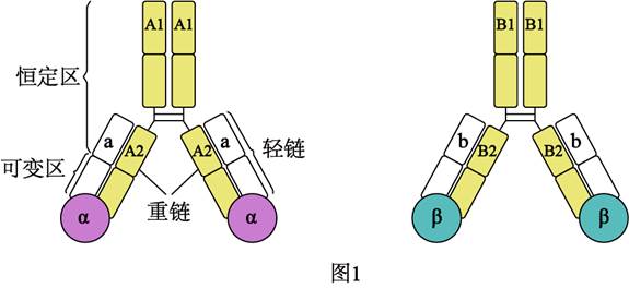 图片_x0020_100016