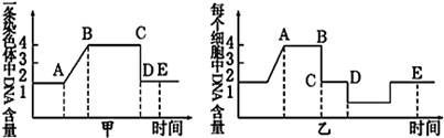 图片_x0020_100001