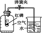 图片_x0020_100017
