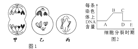 图片_x0020_110901549