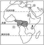 图片_x0020_100003