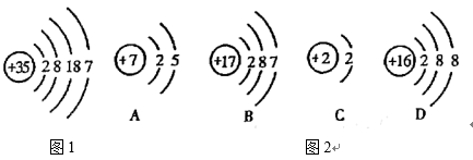 图片_x0020_100005