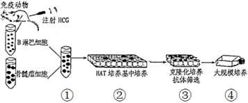 图片_x0020_100001