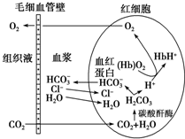 图片_x0020_100011