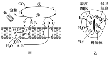 图片_x0020_1126990314