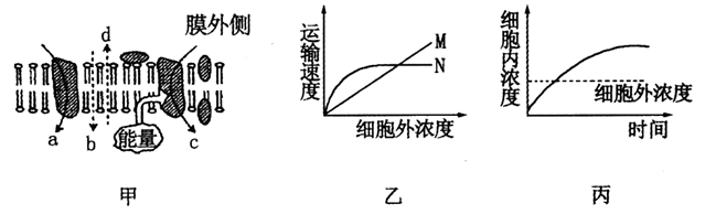图片_x0020_100001