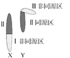 图片_x0020_1249413850