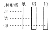 图片_x0020_100019