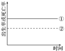 图片_x0020_100023
