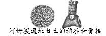 图片_x0020_100002