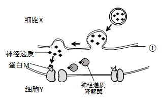图片_x0020_1747712299