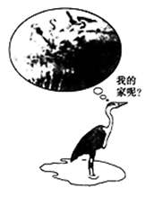 图片_x0020_1458225376
