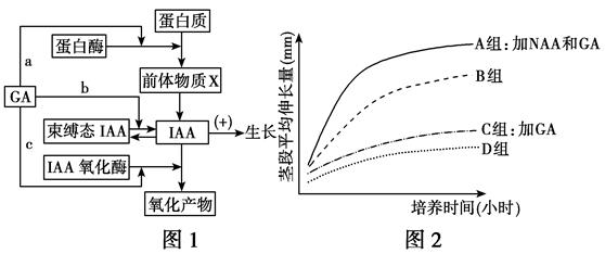 图片_x0020_100009