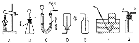 图片_x0020_100016