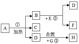 图片_x0020_1255081765