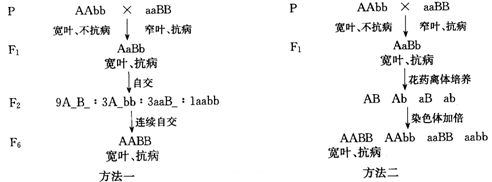 图片_x0020_1030161477