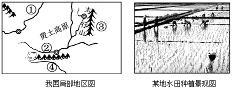 图片_x0020_1346371493